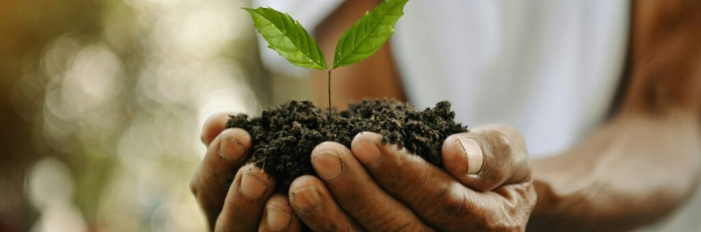 test post Nos projets